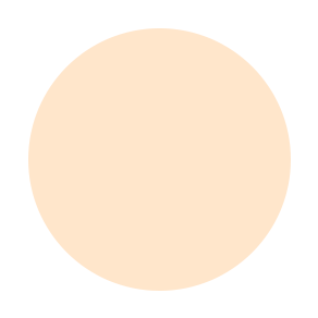 Pro. Undercover Liquid Concealer