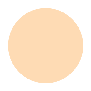 Pro. Undercover Liquid Concealer